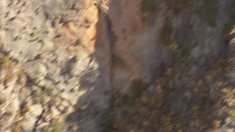 Crete, eagle at Aradena Gorge Video stock 197121996