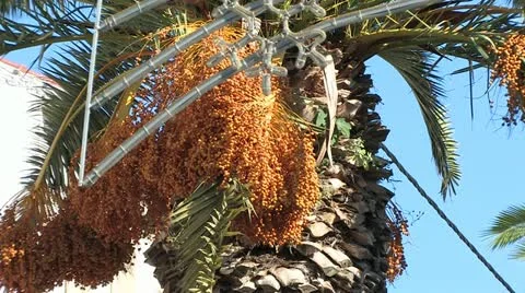 Crete, Greece Видео 11904849