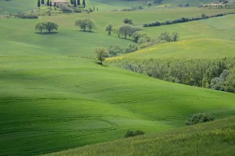 Crete Senesi 스톡 사진