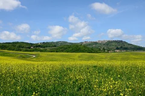 Crete Senesi Stock Photos