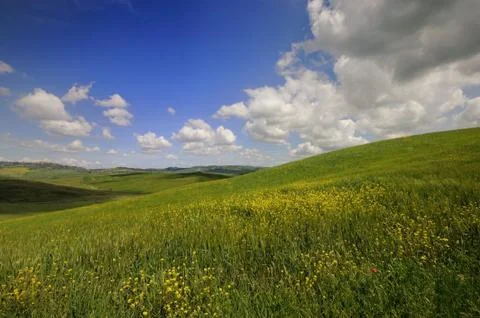 Crete Senesi 스톡 사진