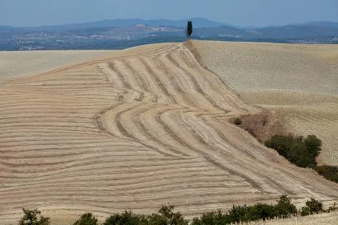 Crete senesi Stock Photos