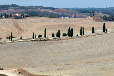 Crete senesi Stock Photos