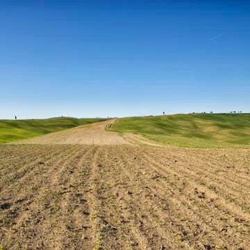 Crete Senesi 스톡 사진