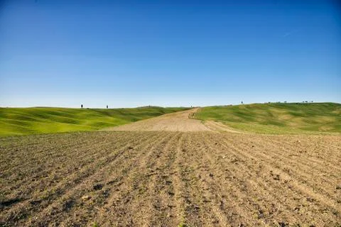 Crete Senesi 写真素材