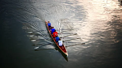 Crew boat team rowing on river Main Frankfurt am Main Germany Europe Vídeos de archivo 65631652