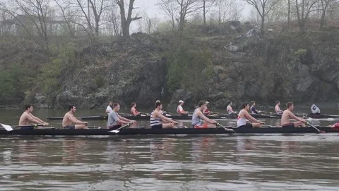 Crew Boats gracefully pull oars upriver Stock Footage 80655003