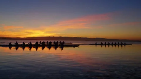 Crew Boats Rowing at Sunrise Stock Footage