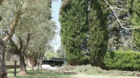 Crew of certified italian tree workers cutting pine tree top on private zone Stock Footage 162762811