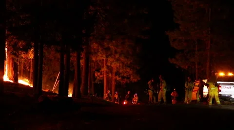 Crew of fire fighters at scene of forest fire Stock Footage 41831760