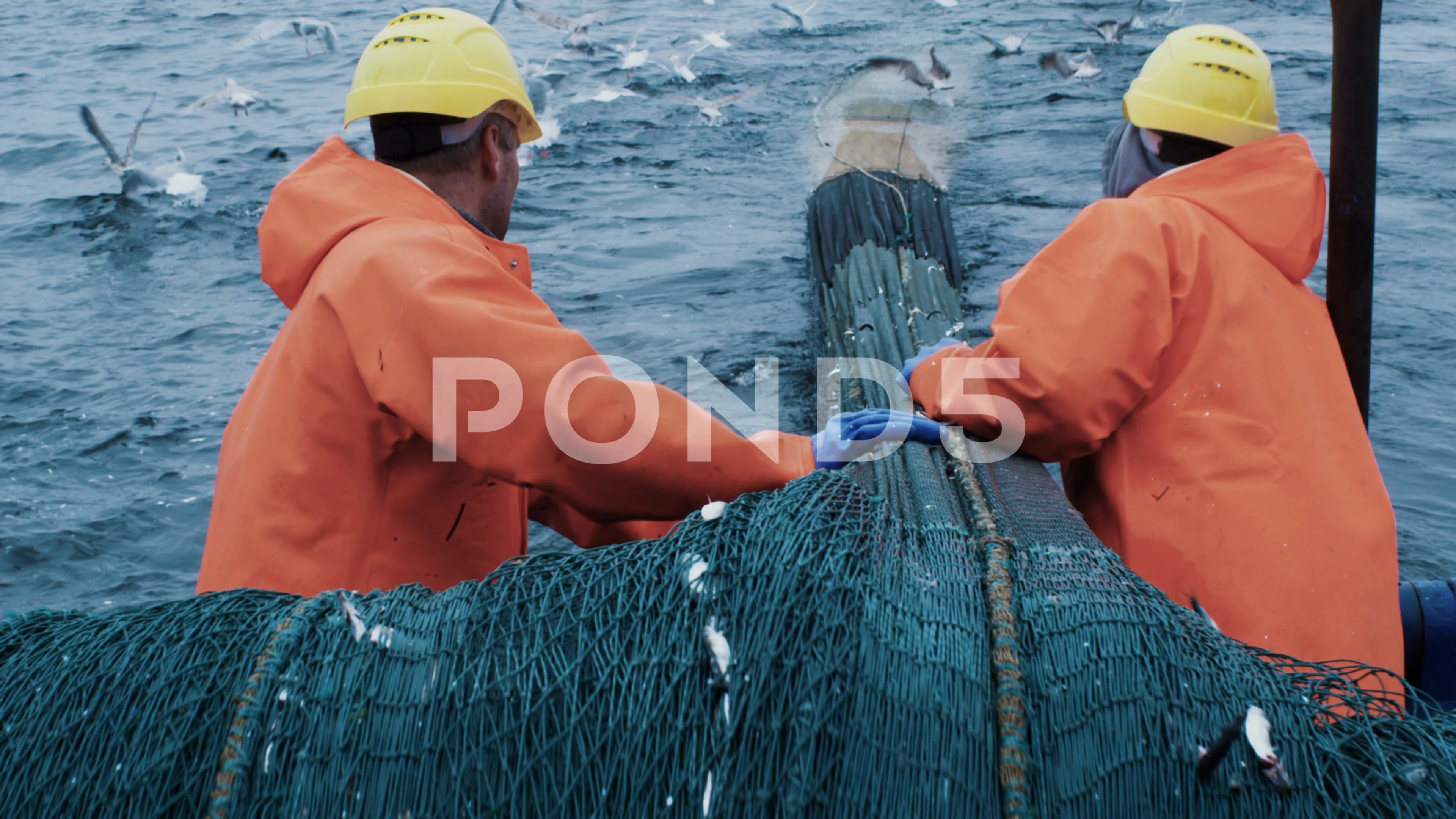 Crew of Fishermen Work on Commercial Fis, Stock Video