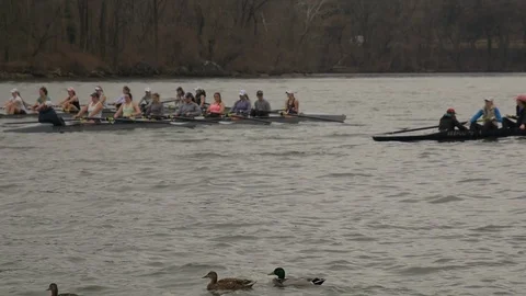 Crew Rowing Stock Footage 85672278
