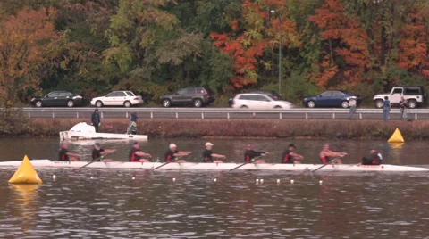 Crew Team Rowing on Charles River in Boston Video stock 43057844