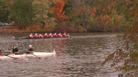 Crew Teams Rowing on Scenic River Video stock 43058426