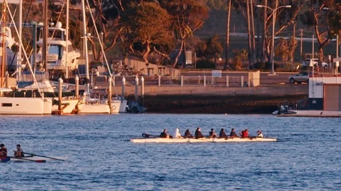 Crew Teams training rowing boats in harbour in Marina del Ray Stock Footage 125721401