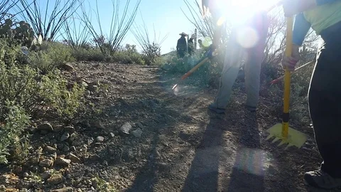 A crew of volunteer workers building a trail in the desert Stock Footage 71940107