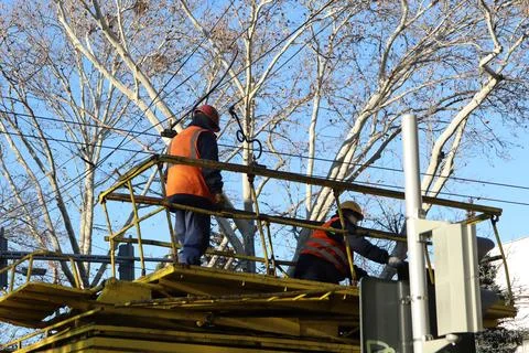 A Crew of Workers Engaged in Tree Maintenance Activities Utilizing Various Stock Photos