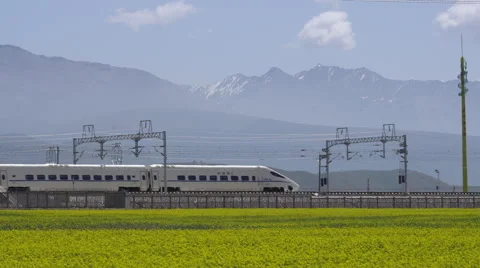 CRH train traveling through rape flower field in summer Stock Footage 66555955