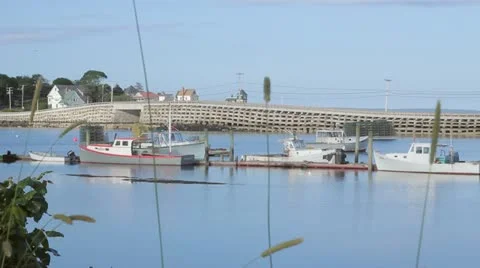 Cribstone Bridge 2 Video stock 11192075