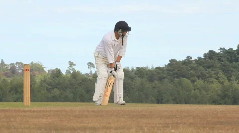 Cricket 1 batters Video stock 861582