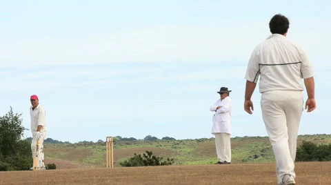 Cricket 10 Video stock 861600