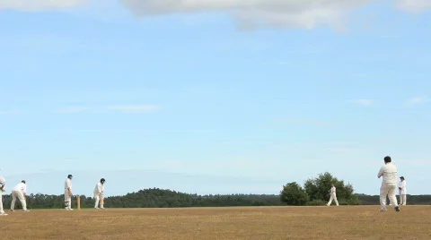 Cricket 16 Stockbeeldmateriaal 861621