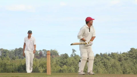 Cricket 2 batting Video stock 861622