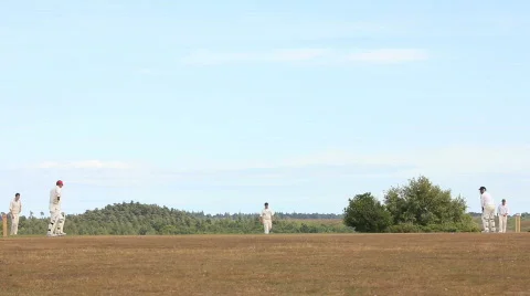 Cricket 3 long shot Vidéo 861667