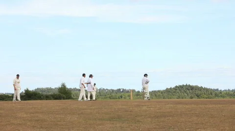 Cricket 4 bowler Video stock 861649