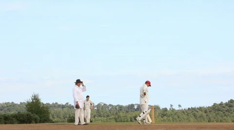 Cricket 5 bowler Video stock 861666