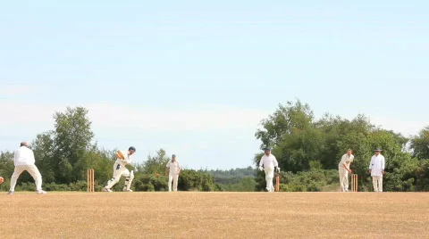 Cricket 7 long shot Video stock 861695