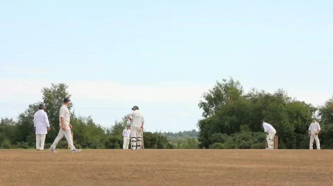 Cricket 8 changing sides Video stock 861730
