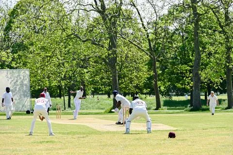 Cricket action Stock Photos