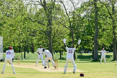 Cricket action Stock Photos