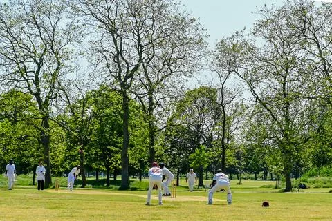 Cricket action Stock Photos