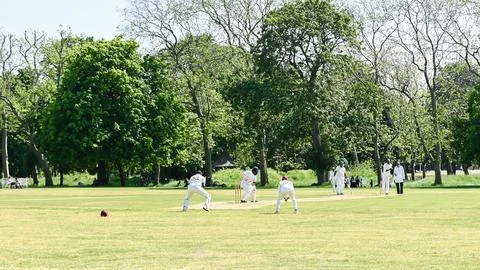 Cricket action Stock Photos