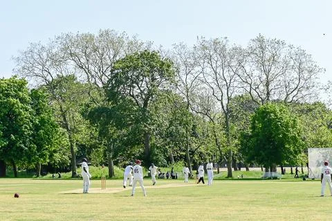 Cricket action Stock Photos