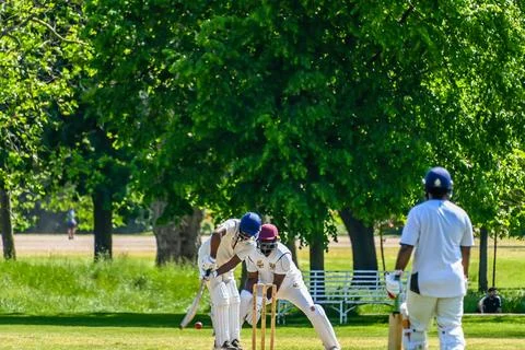 Cricket action Stock Photos