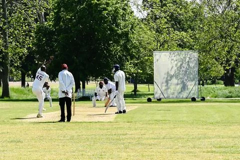Cricket action Stock Photos