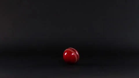 Cricket Ball Dropping and Bouncing Stock Footage 307162839