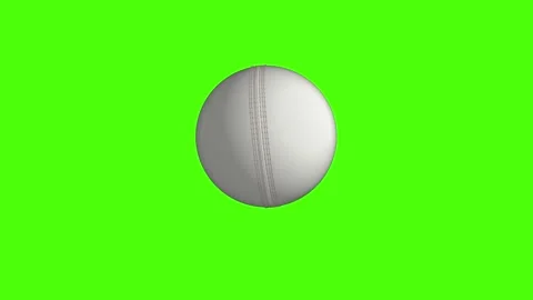 Cricket ball Stock Footage 234817529