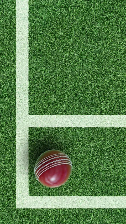 Cricket ball on grass field corner with boundary lines Stock-Footage 330010269