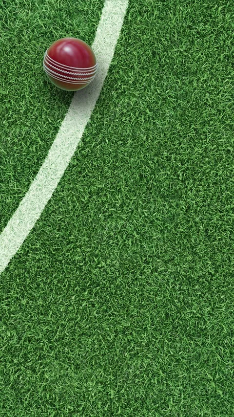 Cricket ball on grass field with white boundary line Stock Footage 330008284