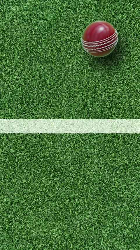Cricket ball on grass field with white boundary line Stock Footage 330010379