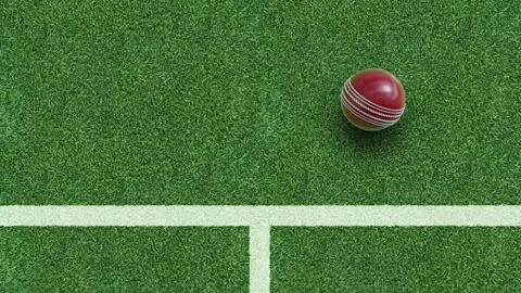 Cricket ball on grass field with white crossing line Stock Footage 330050128