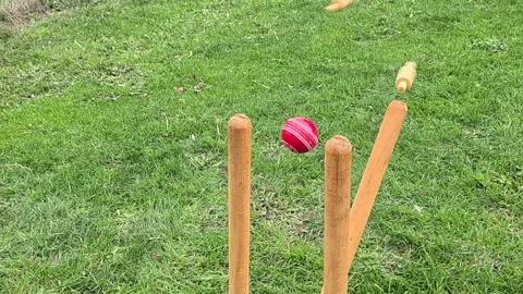 Cricket Ball Hits Stumps SLOW MOTION Stock Footage 341783211