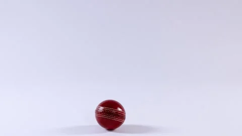 Cricket Ball Rolling on Surface Vídeo Stock 310284498