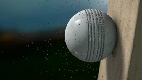 Cricket bat and ball Stock Footage 101679129
