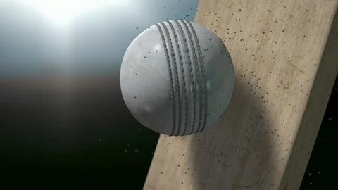 Cricket bat and ball2 Stock Footage 101679135