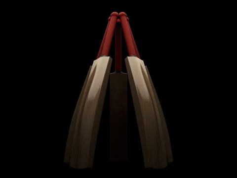 Cricket Bat Circle Dislay Stock Illustration